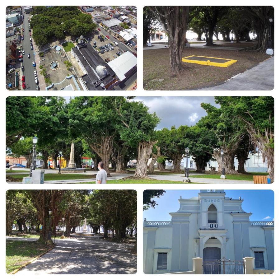 Lacasitadelmalecon Naguabo Εξωτερικό φωτογραφία